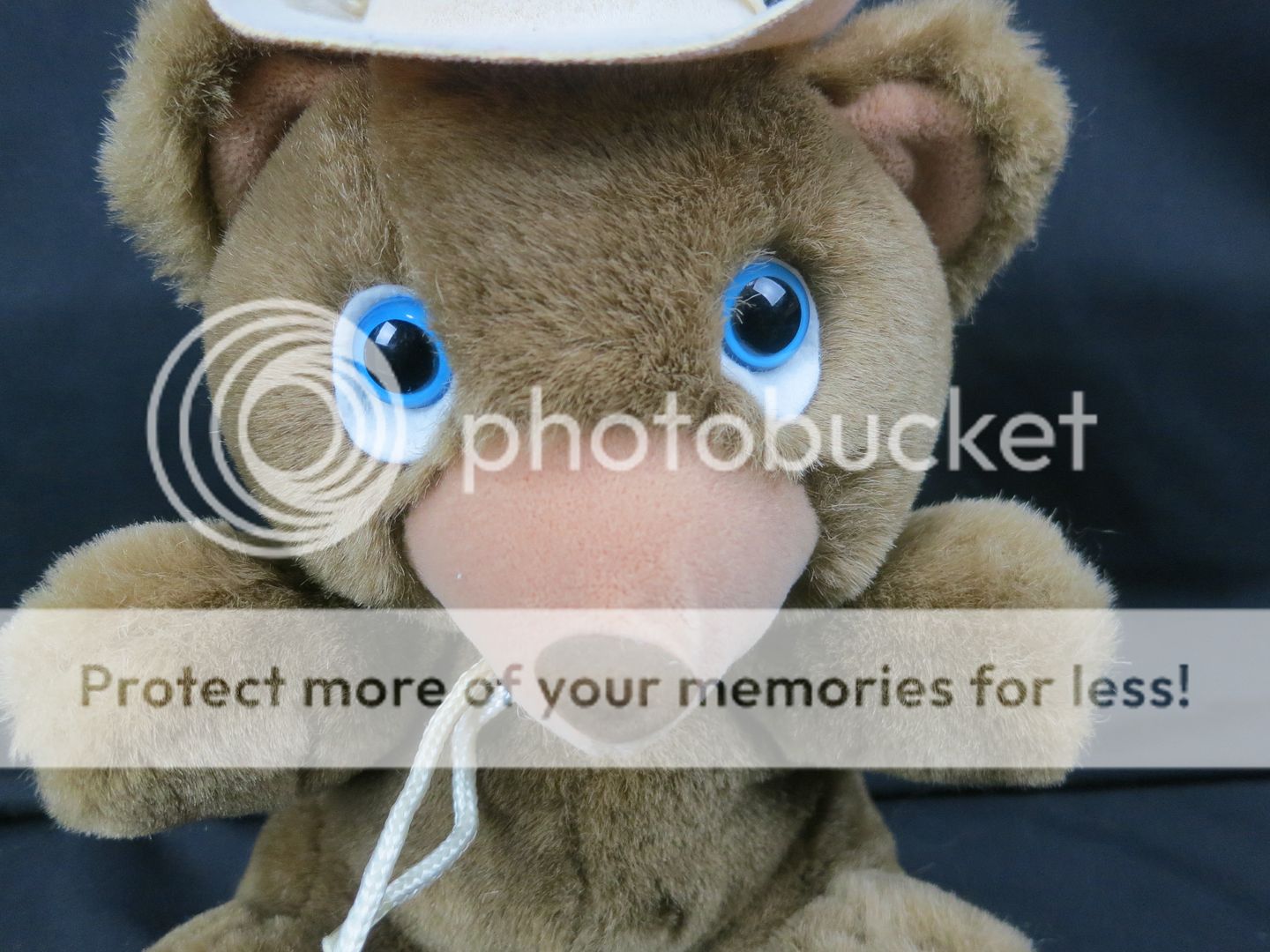 hat teddy bear